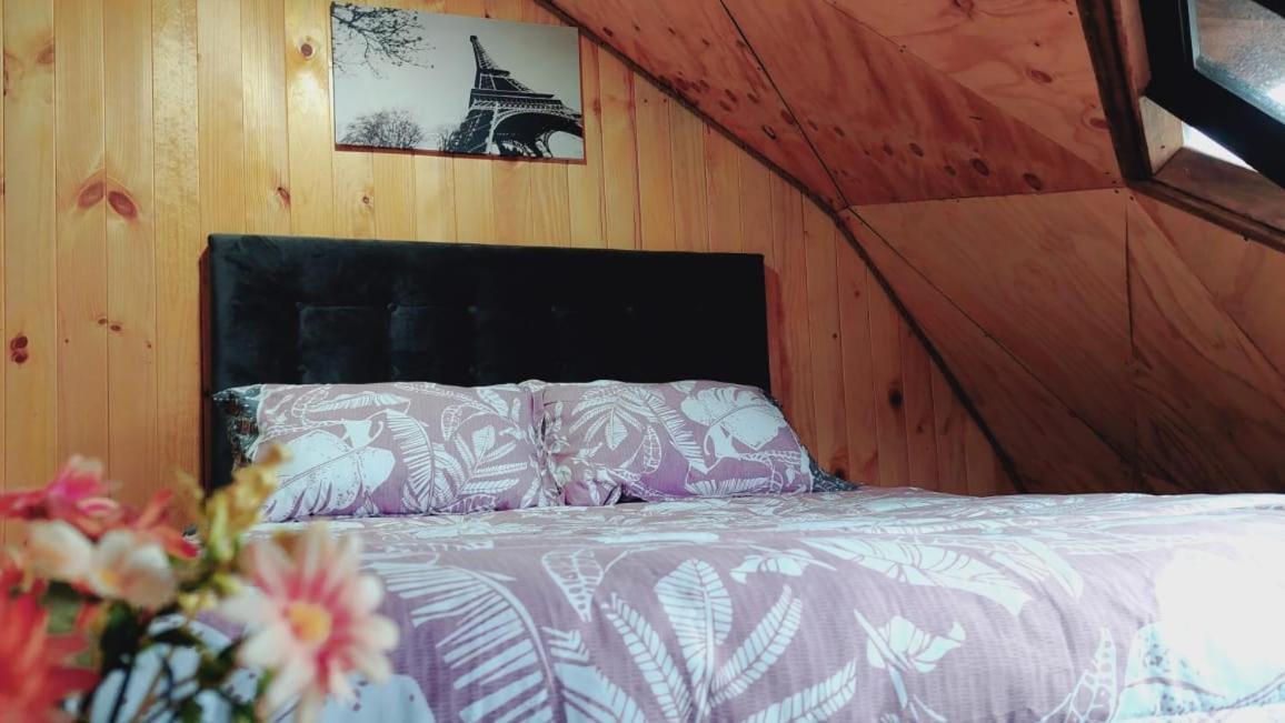 Apartamento Domos Maran Villarrica