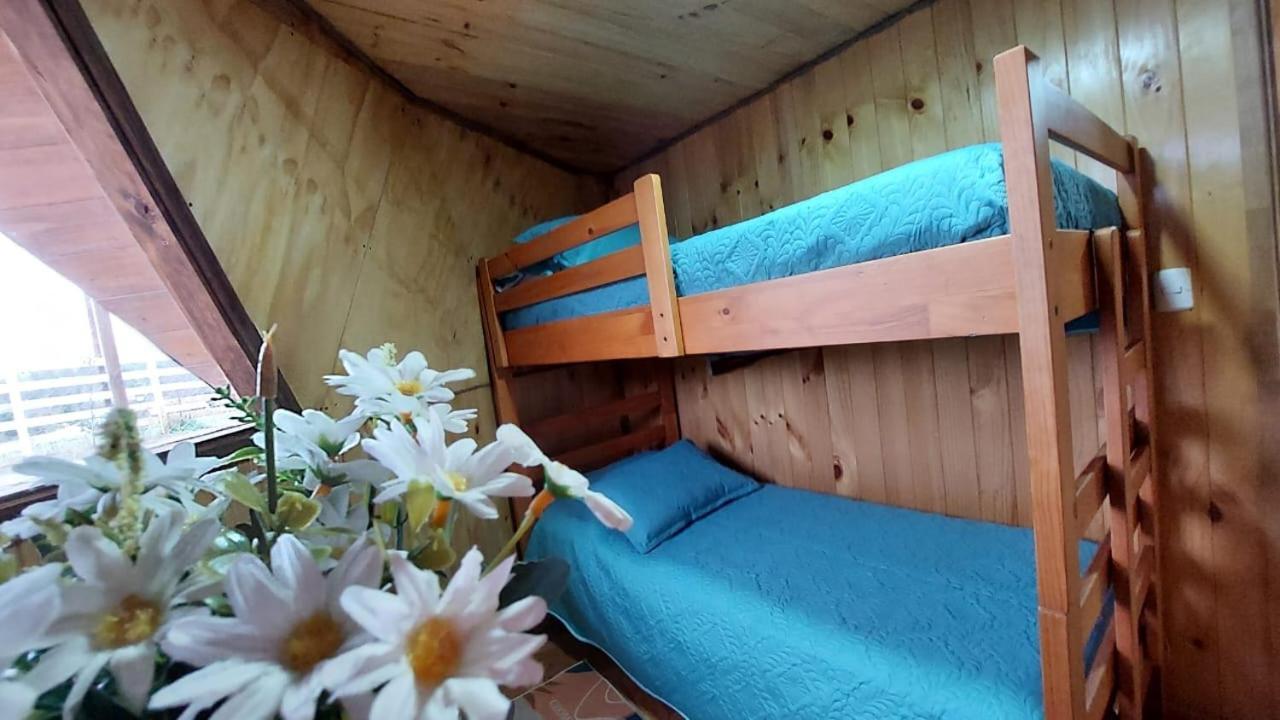 Apartamento Domos Maran
